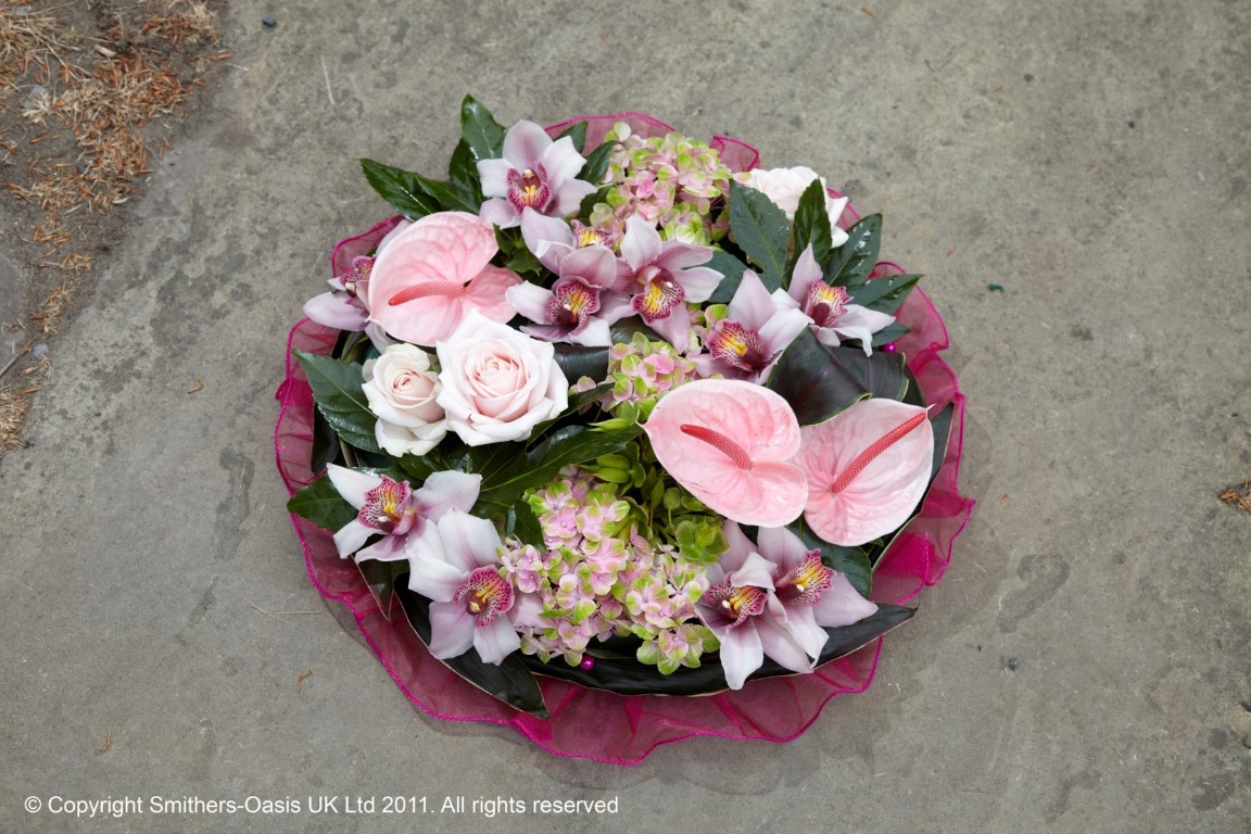 Pink  Posy