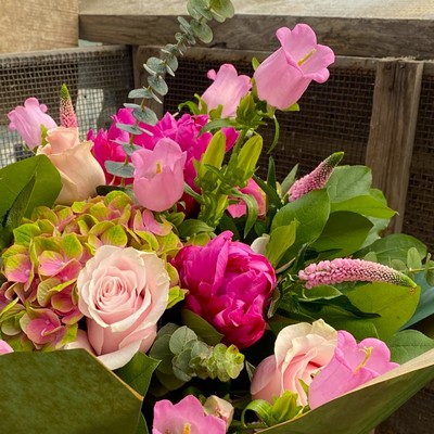 Blushing Blooms