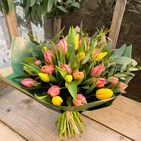 Botanical Tulips