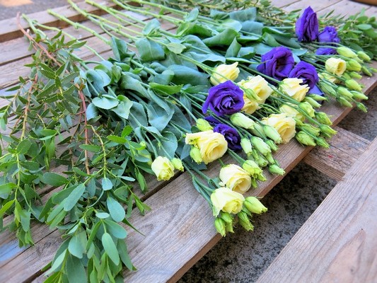 Collection Lisianthus Stems from £10