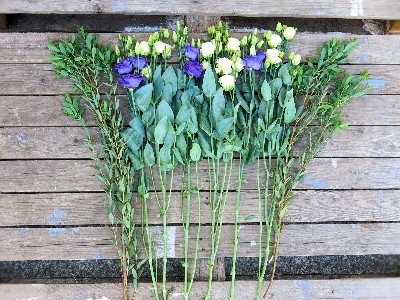 Collection Lisianthus Stems from £15