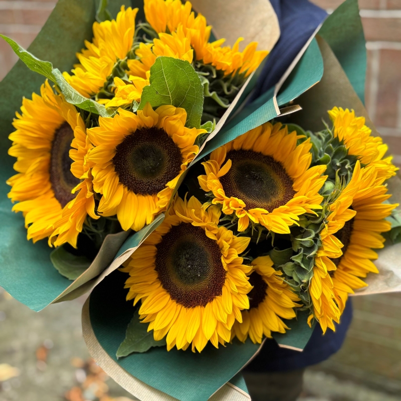 Cut Steams Sunflowers