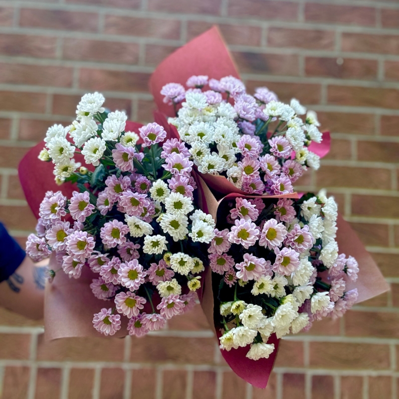 Cut Stems Santini