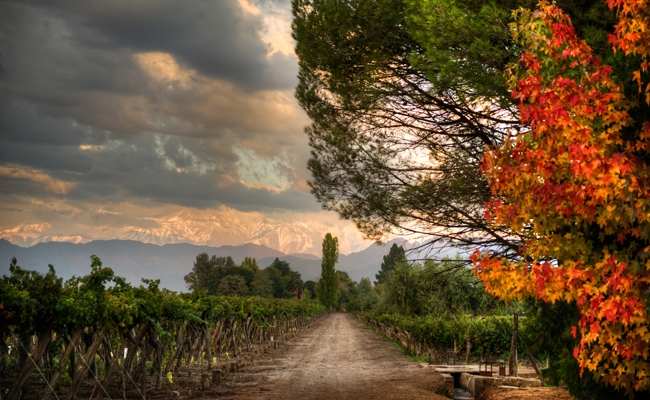 Malbec for delivery in Darlington 