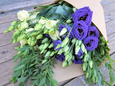 Lisianthus Stems