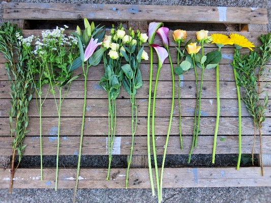 Mixed Stems