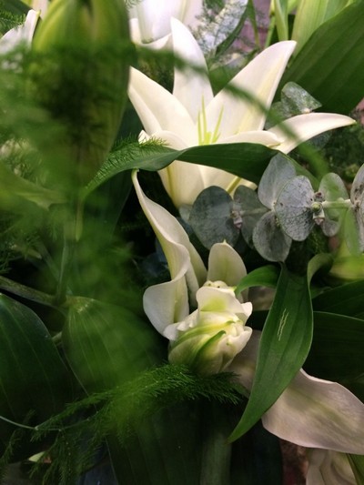 Pure Lily Bouquet Buy Online Or Call 01325 467154 