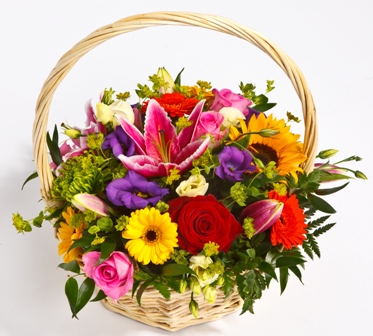 Colour Pop Basket