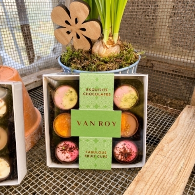 Van Roy Exquisite Chocolates Fabulous Fruit Cups