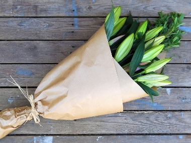 Collection Lily Stems from £14
