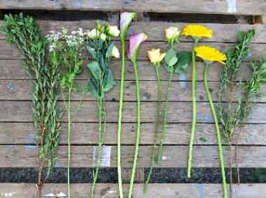 Collection Mixed Stems from £10