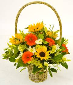Country Basket