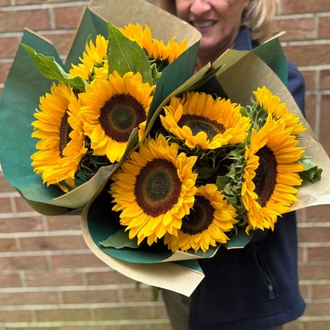 Cut Steams Sunflowers