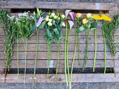 Mixed Stems