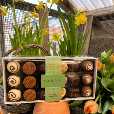 Van Roy Exquisite Chocolates Belgium Classics