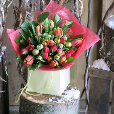 Twentyfive Tulips
